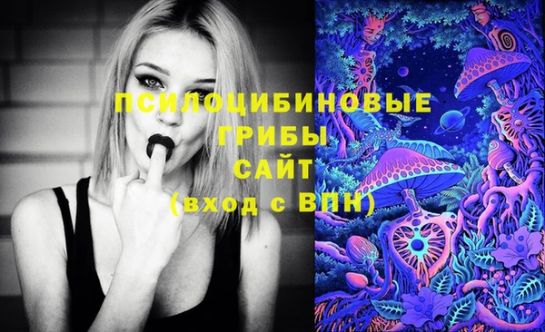 метадон Белокуриха