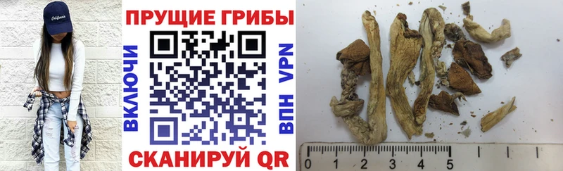 где купить   OMG как войти  Галлюциногенные грибы мицелий  Яровое 